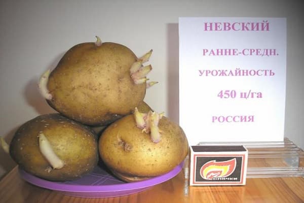укусне квалитете