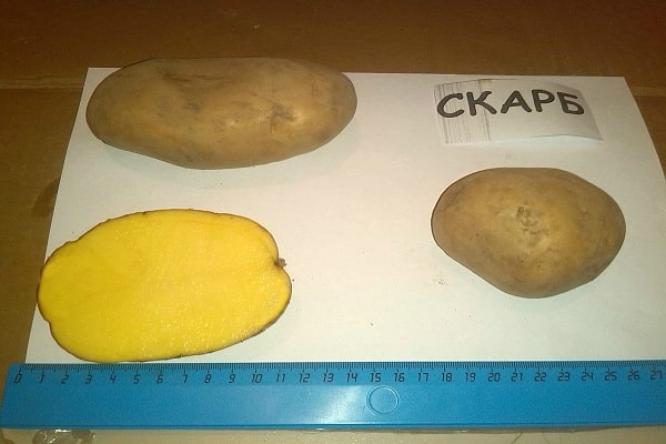 müssen kochen