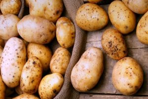 Beschreibung der Kartoffelsorte Timo, ihrer Eigenschaften und ihres Ertrags