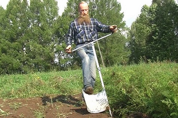 dolne liście