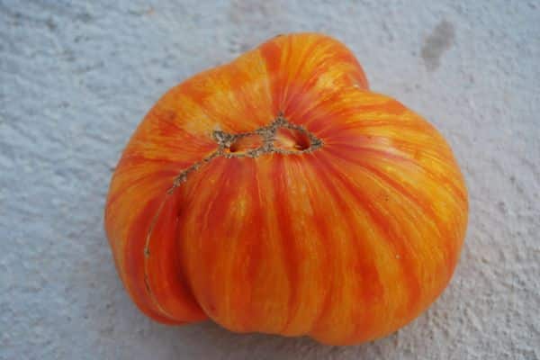 vantaggi della varietà