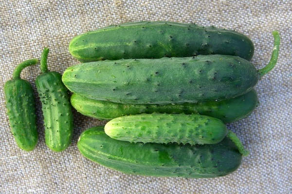 indeterminate hybrid