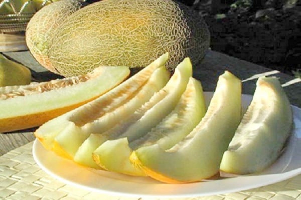 variant beskrivelse