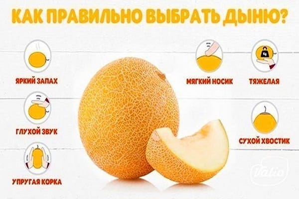 moden melon