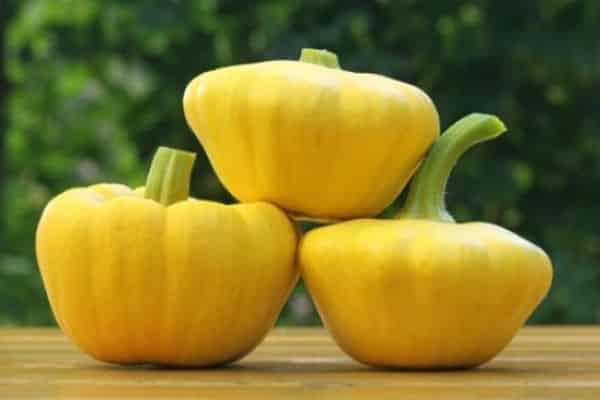 скуасх уфо