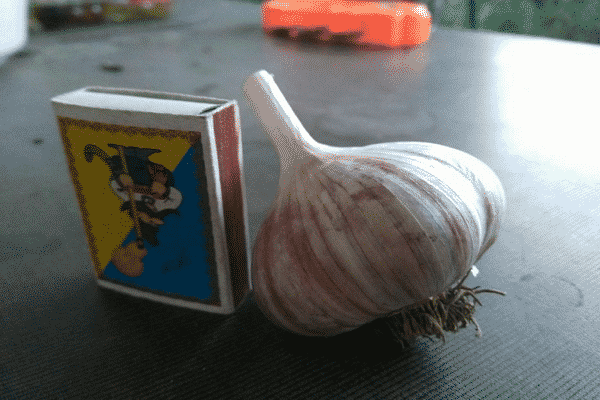 die Bildung von Betten