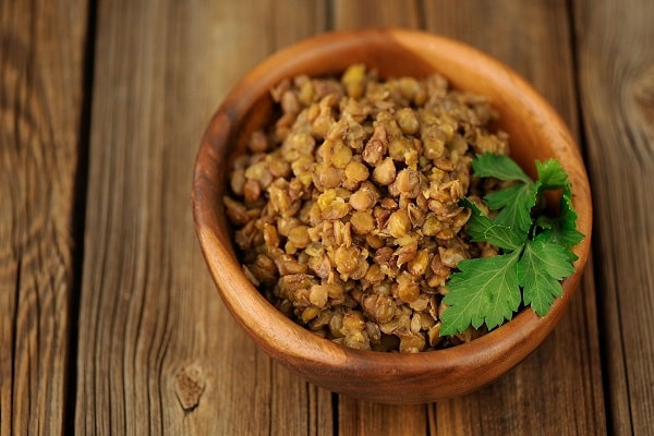 vegetabiliskt protein