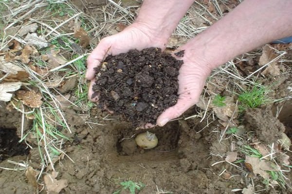 fertilize a plot