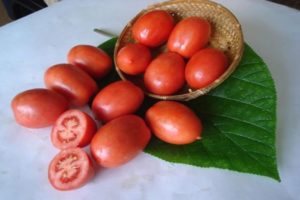 Beschreibung der Tomatensorte Salute, Merkmale des Anbaus und der Pflege