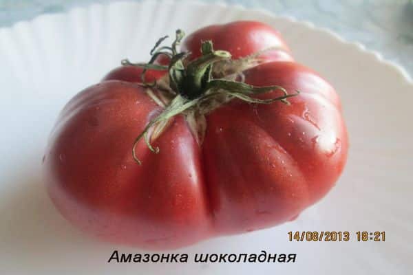 амазонски шоколад