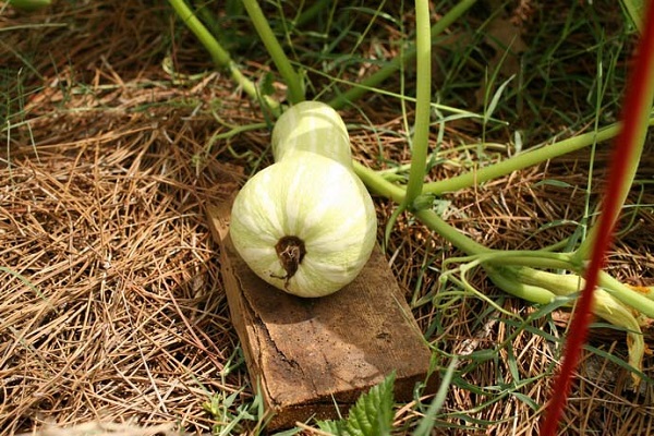 ít hạt hơn