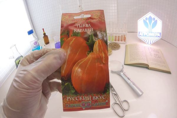 тиквен хляб