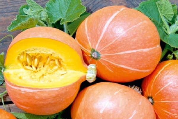 kỹ thuật chín muồi