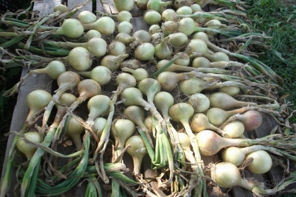 غرفة جيدة التهوية