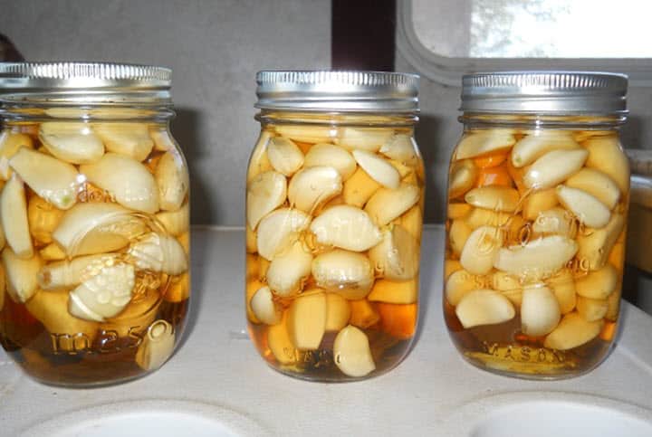 garlic broth