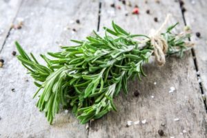 Wie Sie Rosmarin für den Winter zu Hause frisch halten können