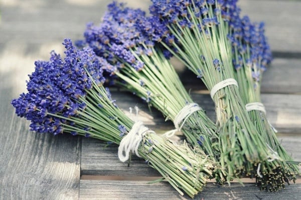 bouquet de lavande