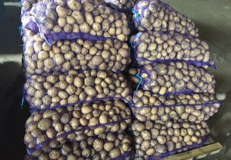 sacks of potatoes