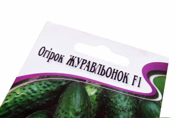 cucumber seeds Crane f1