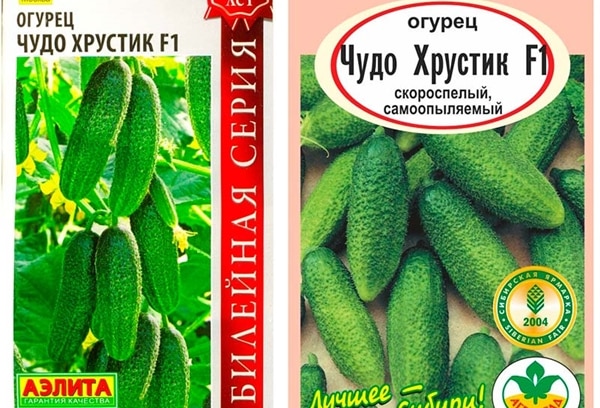 σπόροι αγγουριού Miracle crunch