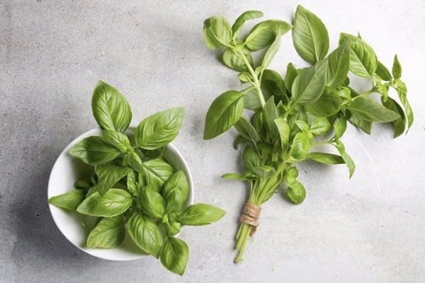 albahaca en la dieta