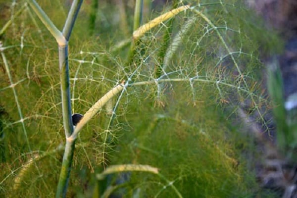 wilgotna pogoda