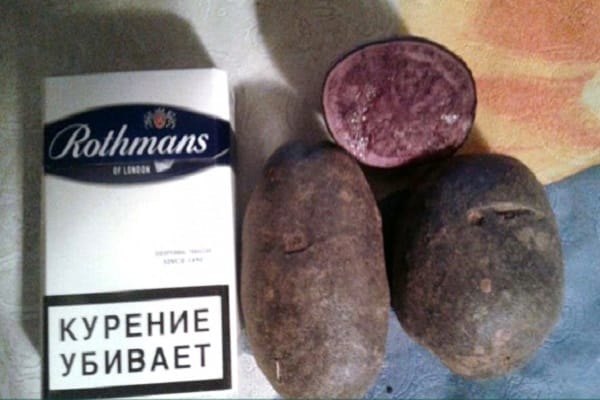 уобичајене врсте