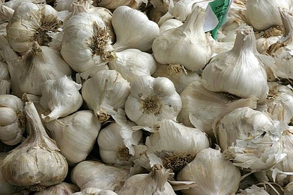 cố gắng loại bỏ