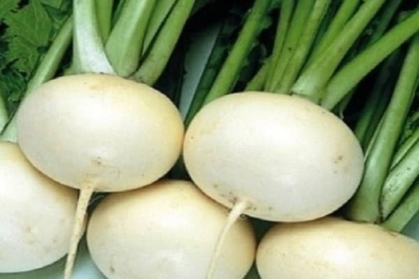 κορυφογραμμές daikon