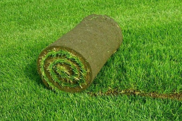 zelená farba