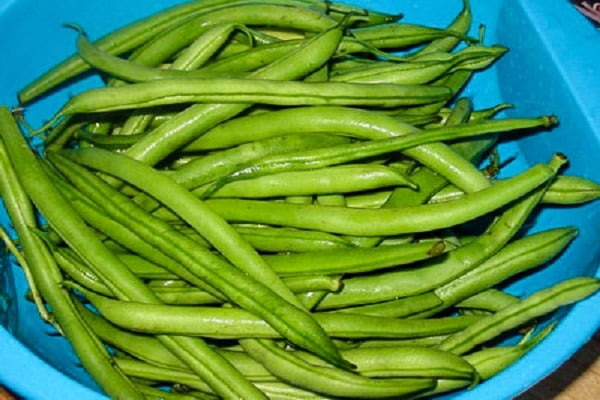 العناصر الغذائية
