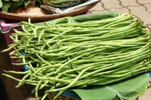 Описание на сорта Vigna боб, характеристики на отглеждане и добив