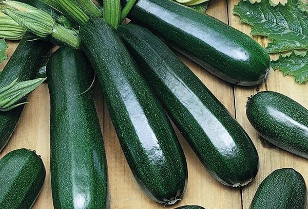 Aussehen von Zucchini Tsukesh