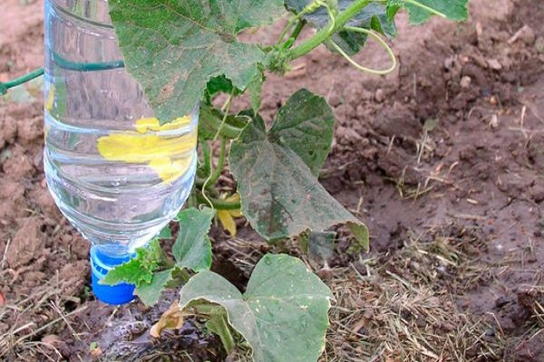 plastikowe pojemniki