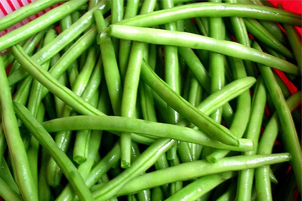 beans products