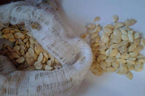 chuẩn bị cho việc gieo hạt