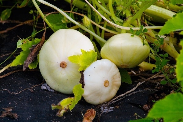 trễ hạn