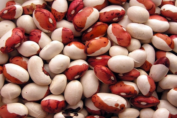 sorte Eyed Peas