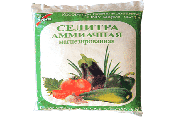 turėtų būti šeriami