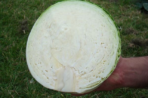 Anwendung von Köpfen