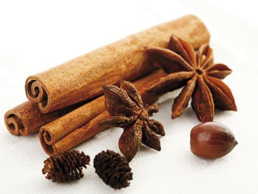cinnamon, cloves, mint, ginger.