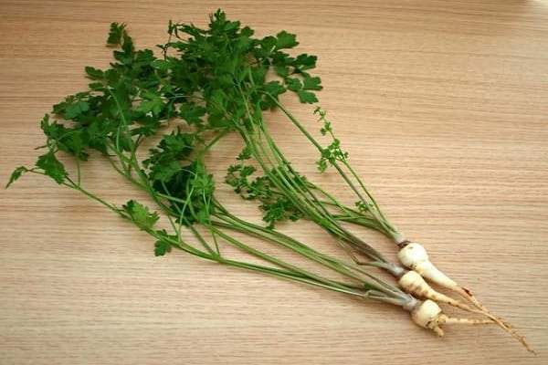 manlig kropp