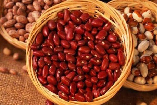 Nutzen und Schaden