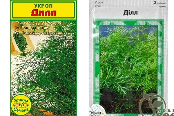 dill seeds dill
