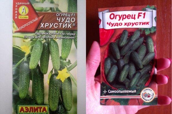 αγγούρι σπόροι θαύμα