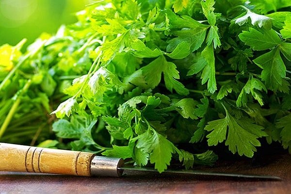 truyền mùi tây