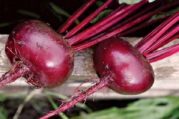 Reifung von Früchten