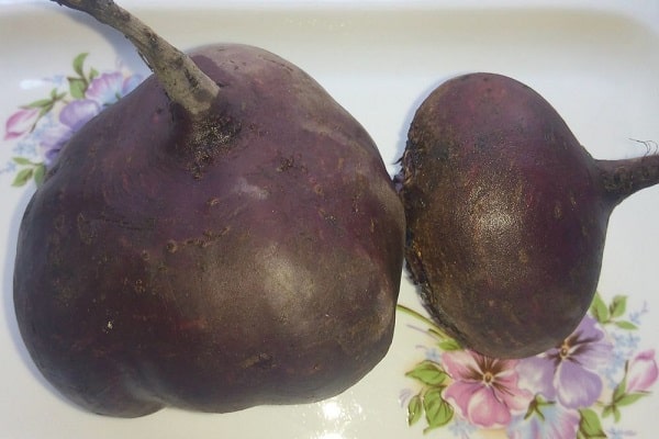 reife die Ernte
