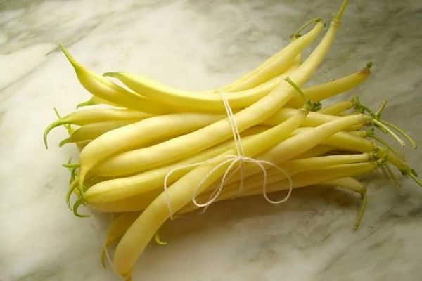 Препоръки по региони