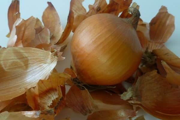  onion husks